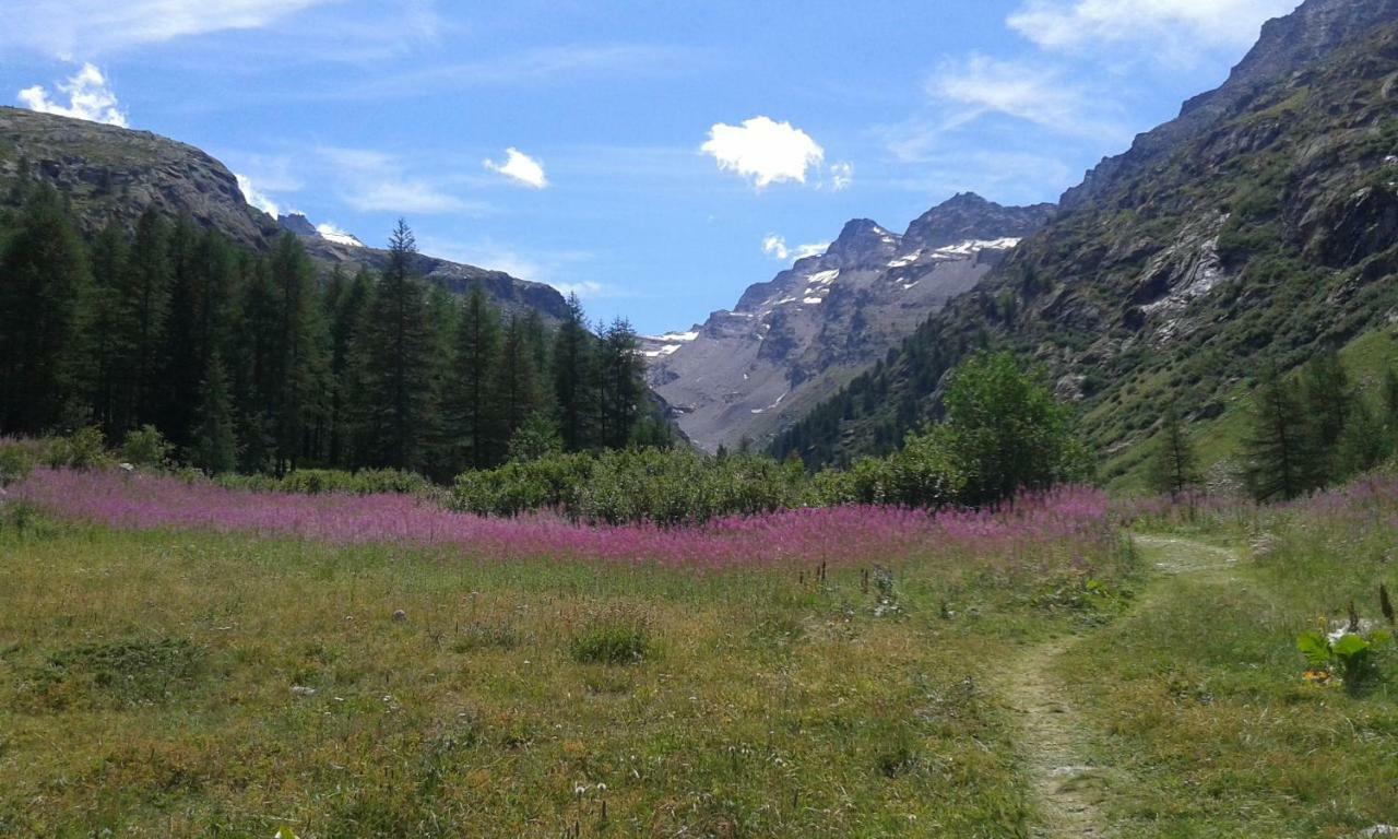 Hotel Vers Le Bois Valsavarenche Esterno foto